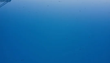 C3648 12.jpg